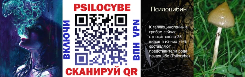 дарнет шоп  Азов  Псилоцибиновые грибы Magic Shrooms 